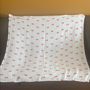 aden + anais White Muslin Swaddle with Coral Accent